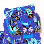 Blue Tiger Developers