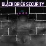 Black Brick Security