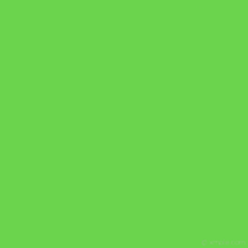 GREEN OBBY