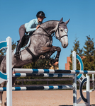 Royal Blue Bells Ridding Academy