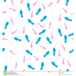 The Next Jump