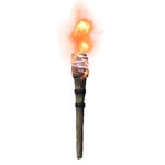 Torch God Followers
