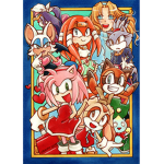 Sonic girls x