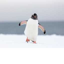 Penguin Mining Tycoon