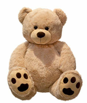 Itz the bear bear