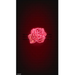 The Rose wolfves / The Rose Wolves Fan Club