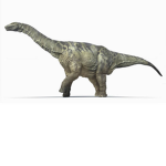 The Dino Group is good