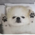 소히의 소통그룹 >-<
