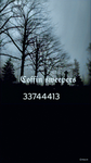 Coffin sweepers