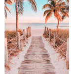 *~BeachVibes~*