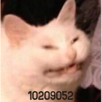 Me0w army