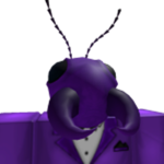 Ants Order