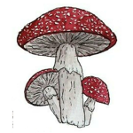 Mushroomtopia