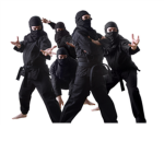 This is the Ninja group