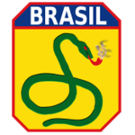 Força Expedicionária BrasiIeira