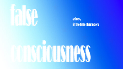 false consciousness