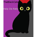 -The Black Cats-