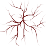 House Eldritch