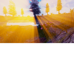 Sunny Evening