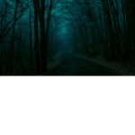 Endless Woods