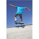 skateboarder alliance