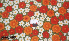 [🎁] Tajny RP w grze Squid 🦑