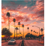 Sunset-Clothing