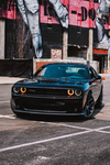 HellCats Are Cool