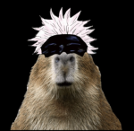 capybara communitie