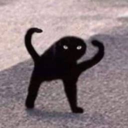 🐱