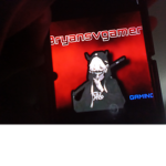 BryanBRGamer