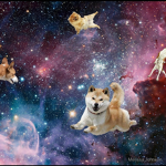 galaxy dogs fan group