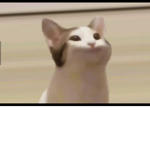 貓狗動協會