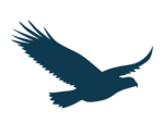 (HOTS) Hawks Of The Sky