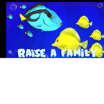 Fishcity police