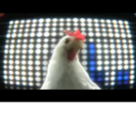 CHICKEN NUGGETS ARE yum yum