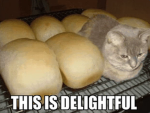 Is This Delightful? Group Thumbnail