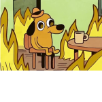 DOG XDD