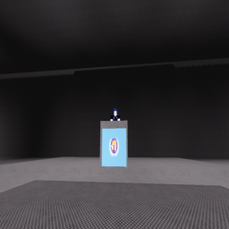 Press Conference