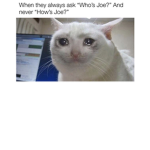 Joe mami