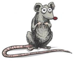 The Smelly Rat Clan