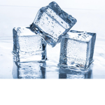 The Icer Squad