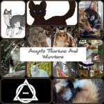 Amyx's Therians And Warriors