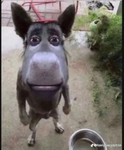 tehehehehhehe