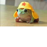 The Froggy Swamp!