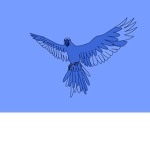 {Blue Macaw~Studios}