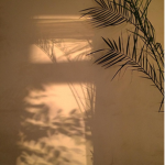 Sun.Kissed