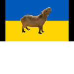 ukrainian capybara group
