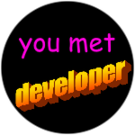 You met a Developer