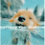 Clothings for Queens